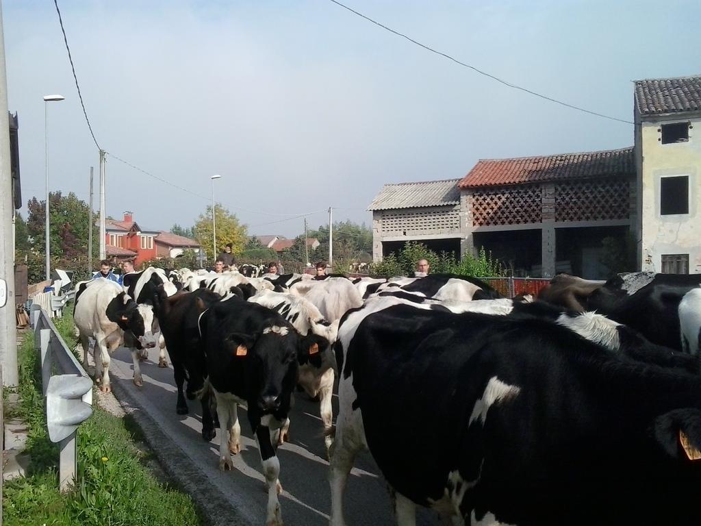 Gazzo  Agriturismo La Prateria מראה חיצוני תמונה